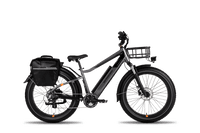 RadRover Plus Daily Commuter Kit, which includes a rear rack, pannier, and front mount basket 